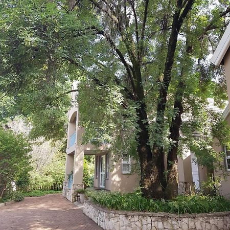 Sugarbush Accommodation Vereeniging Ngoại thất bức ảnh